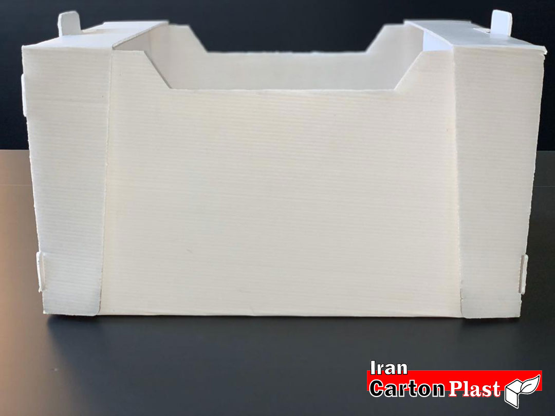 گالری فیلم و تصاویر کارتن پلاست 202088 - گالری فیلم و تصاویر کارتن پلاست