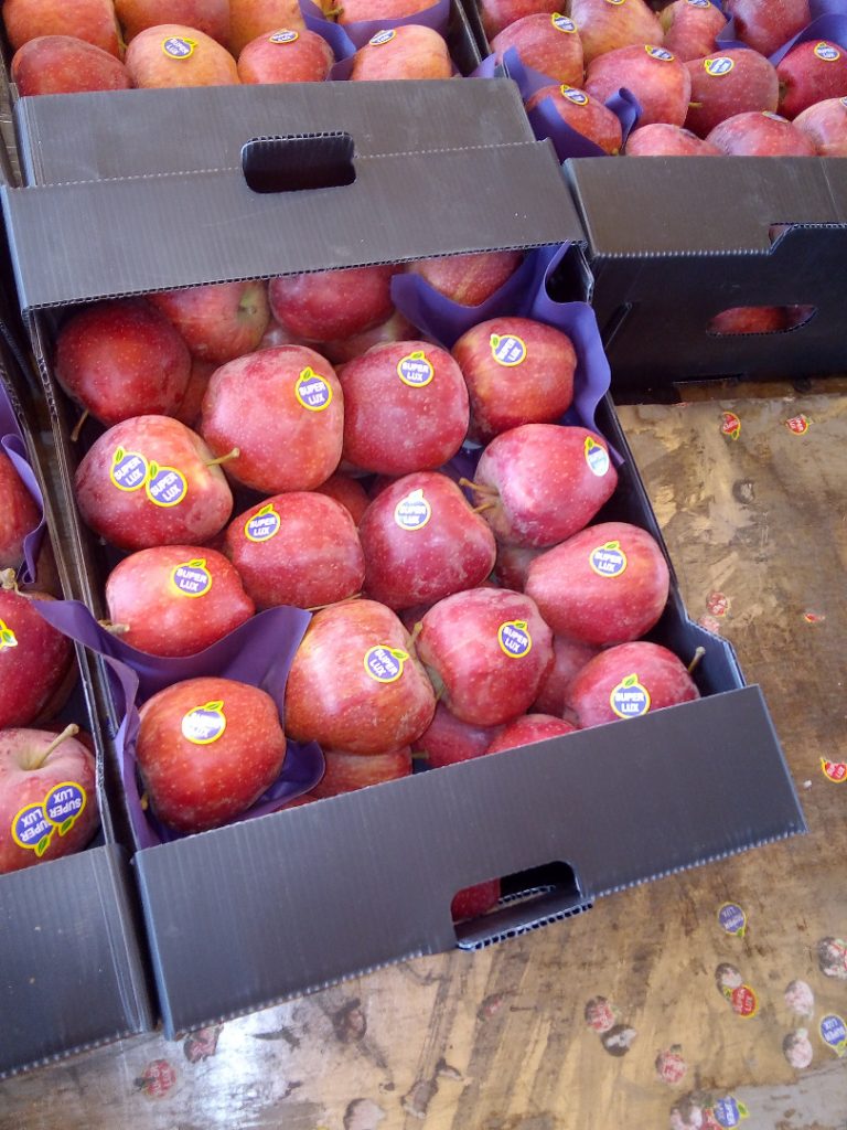 جعبه سیب 8 کیلویی