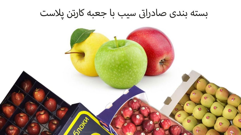 کارتن سیب درختی صادراتی