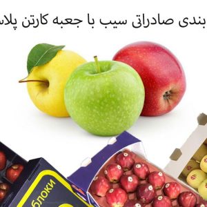 کارتن سیب درختی صادراتی