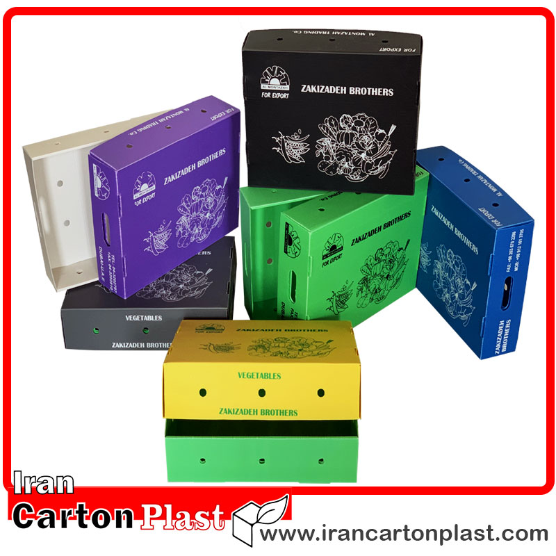 جعبه کلم و جعبه لوبیا سبز